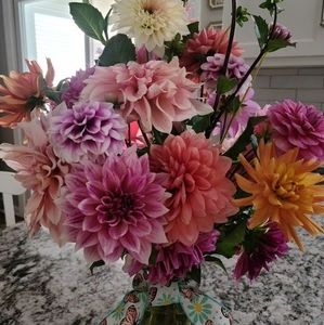 Meet your Posher, Pauleta